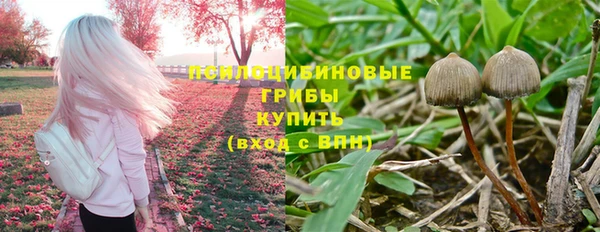 spice Карталы