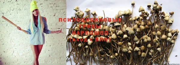 spice Карталы