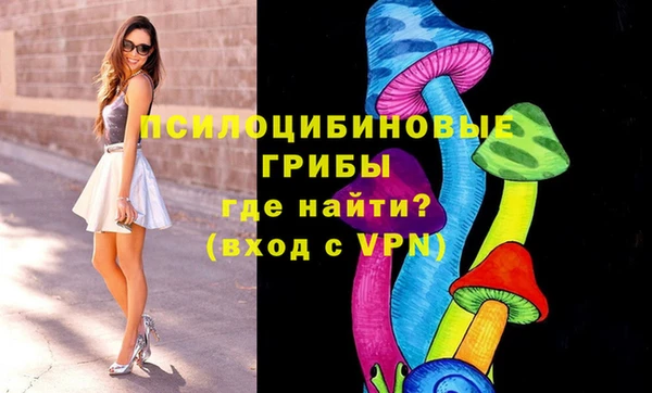 соль ск Касимов