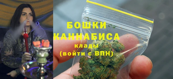 соль ск Касимов