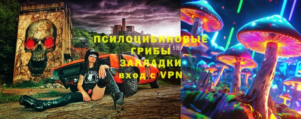 spice Карталы