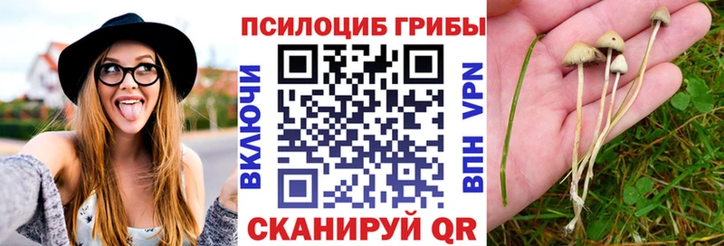 Галлюциногенные грибы Psilocybe  Купить  Обоянь 